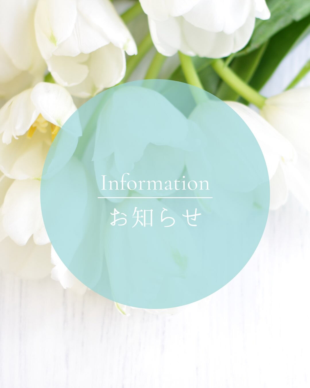 モニター募集についてのお知らせです